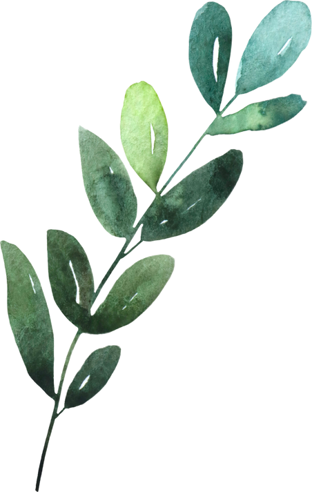 Watercolor Green Leaves