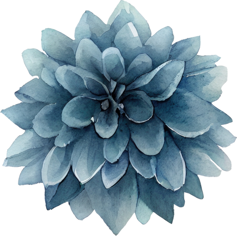 Blue Dahlia flower Watercolor