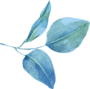 Blue Leaves Illustration